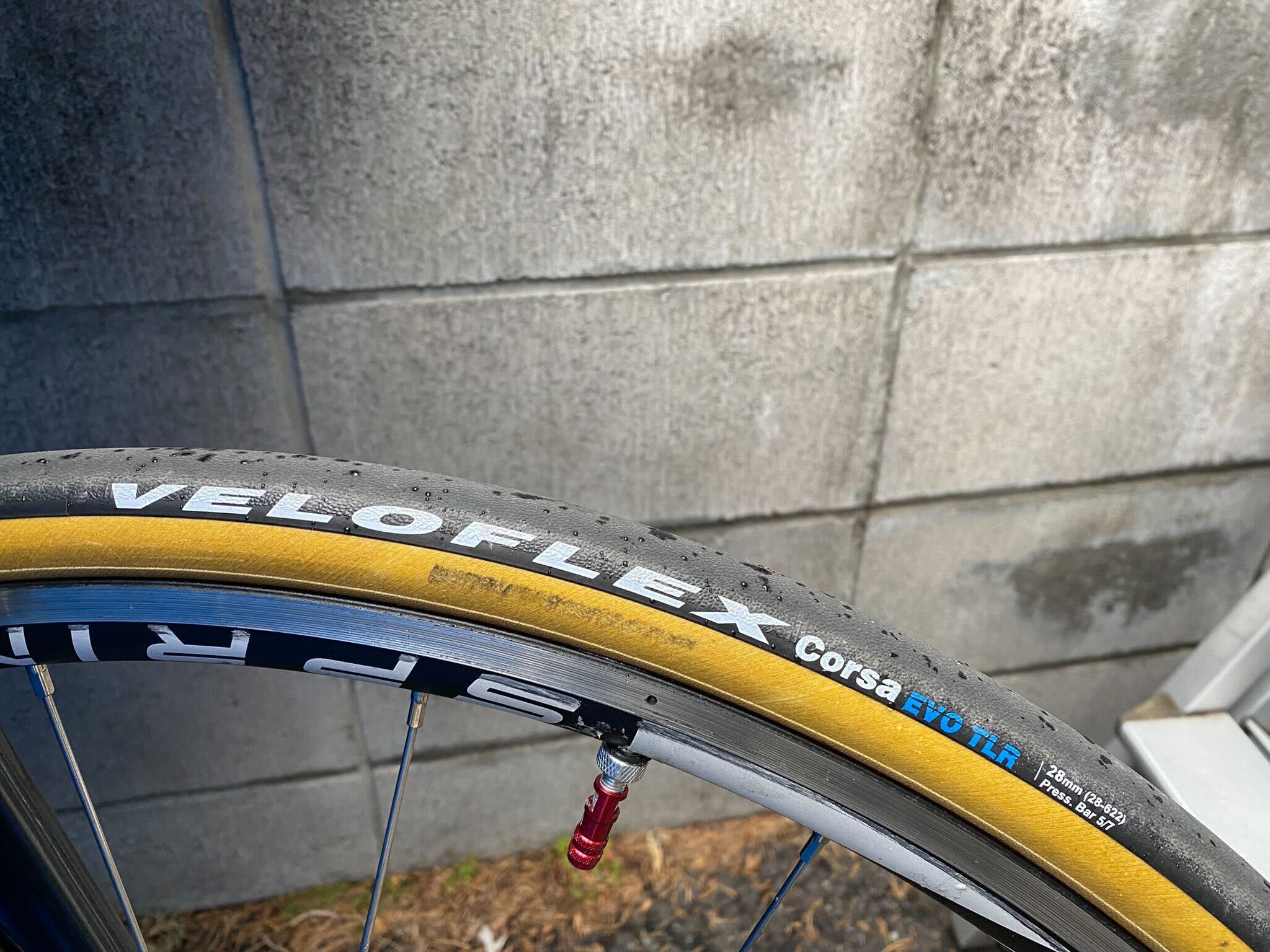 理想のタイヤかも?【VELOFLEX CORSA EVO】 | スポーツバイク 